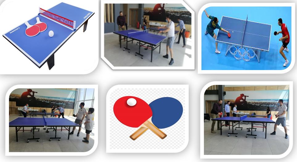 Department of Law held a Sport Activity