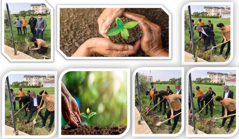 Department of International Relations held an Activity to serve the community (Planting plants)